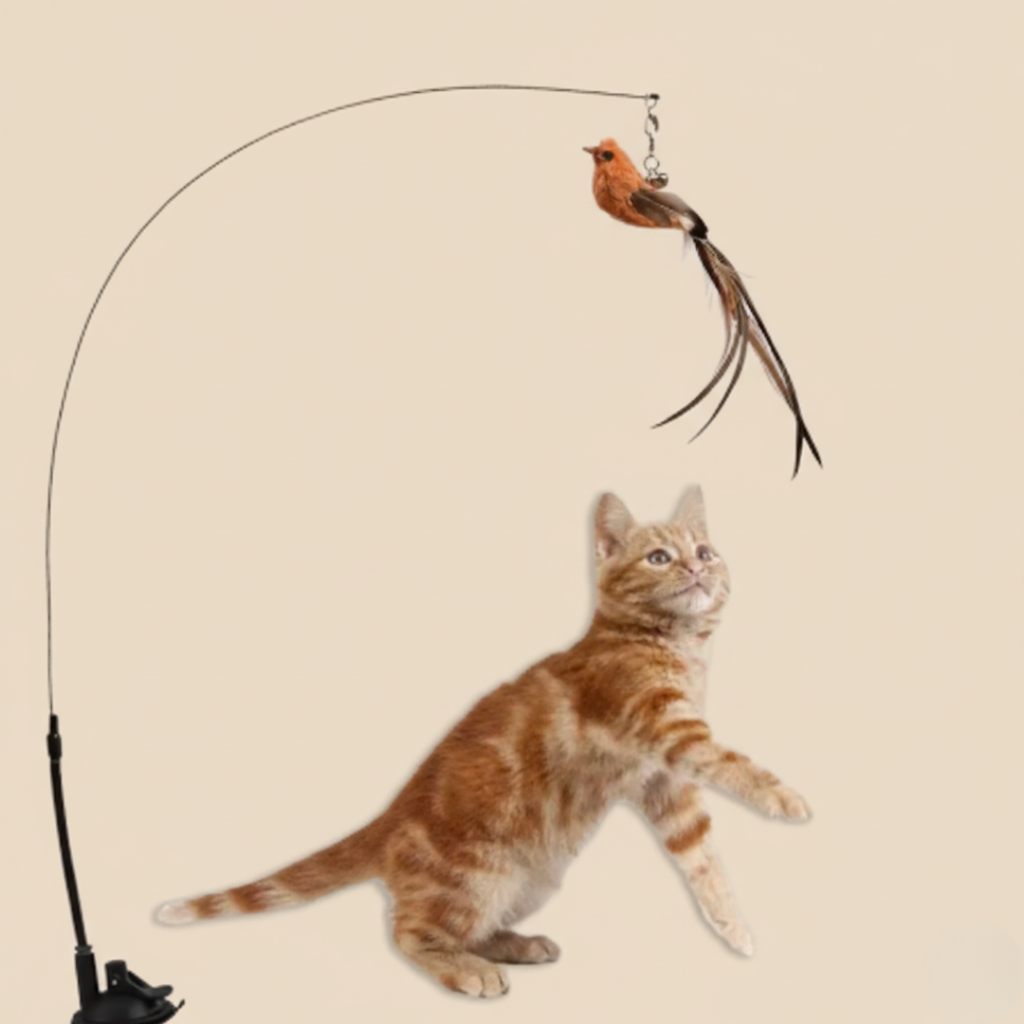 ぴょんぴょん羽ねこじゃらし