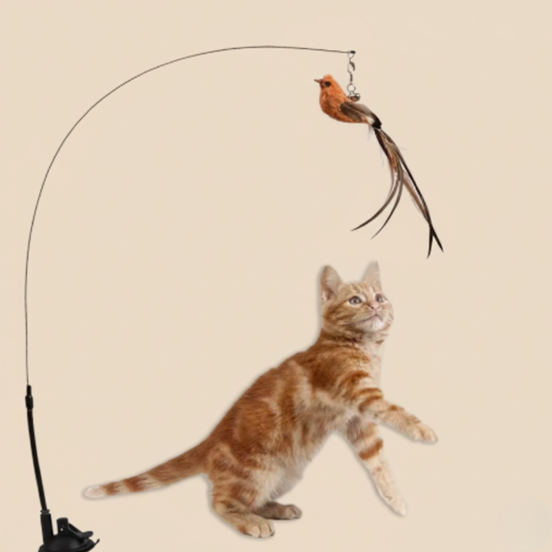 ぴょんぴょん羽ねこじゃらし