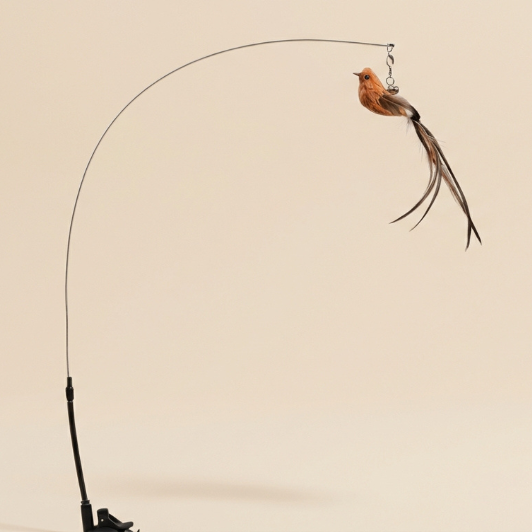 Bouncy Feather Wand Toy