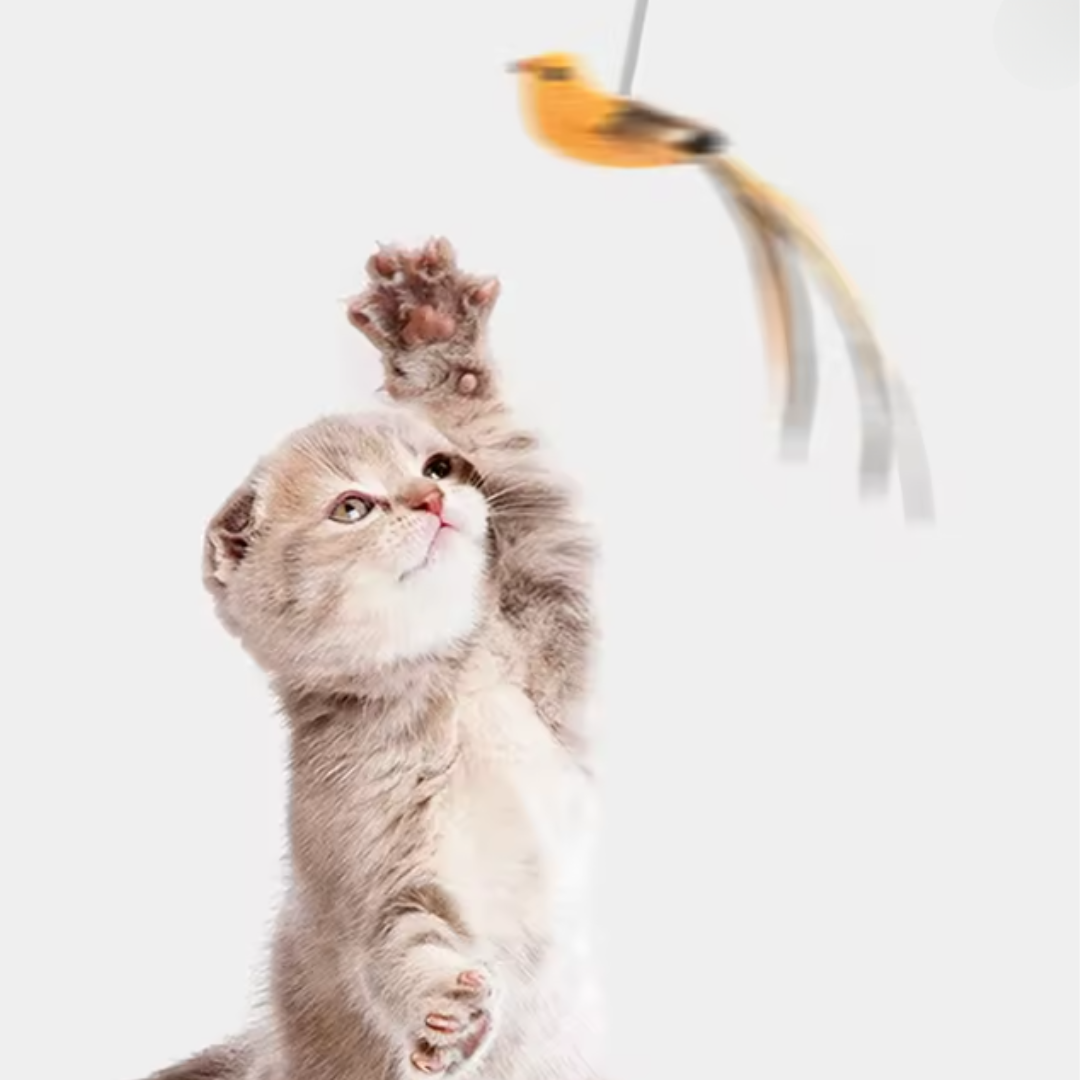 ぴょんぴょん羽ねこじゃらし