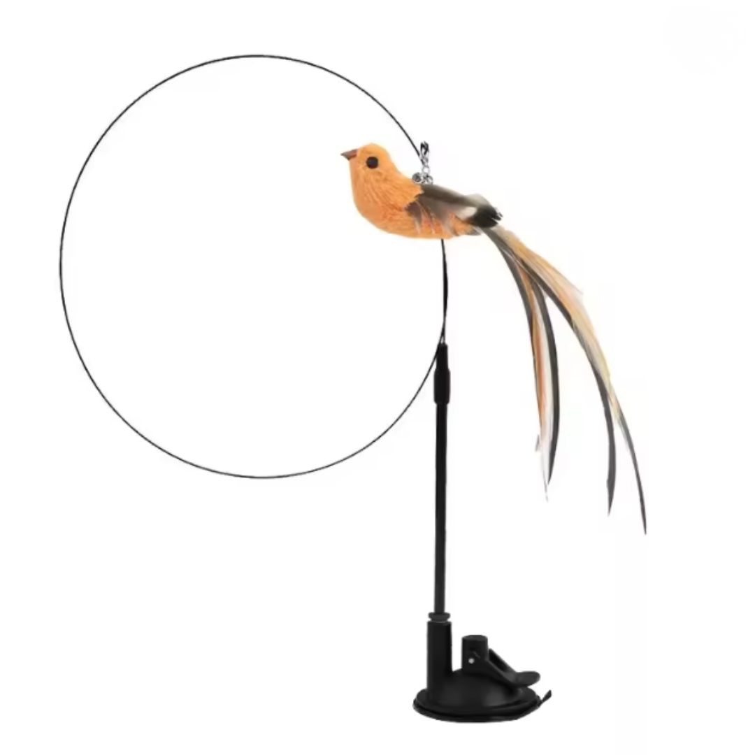 ぴょんぴょん羽ねこじゃらし